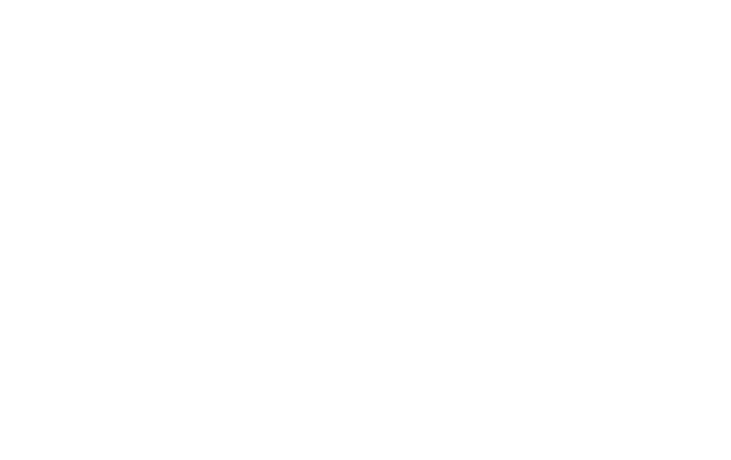 Logo de la diseñadora grafica Vivianka